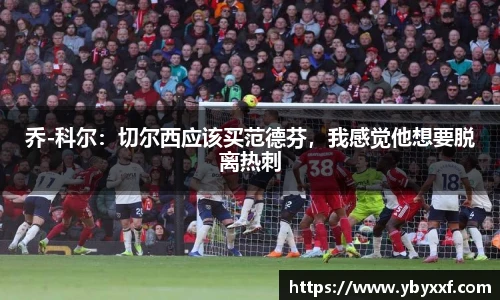 乔-科尔：切尔西应该买范德芬，我感觉他想要脱离热刺